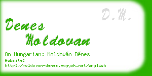 denes moldovan business card