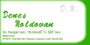 denes moldovan business card